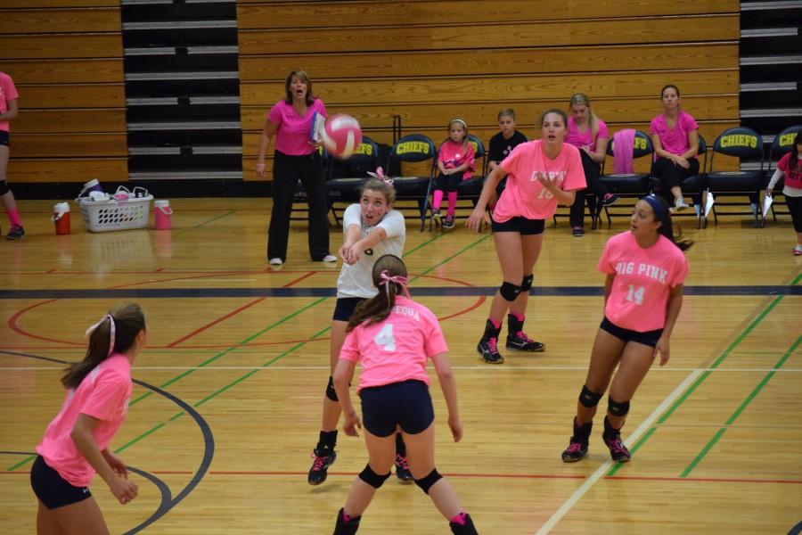 The annual Dig Pink girls volleyball game managed to raise $585 this year for patients.
