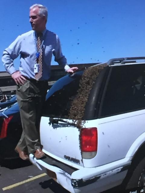 Lord of the bees: MHS administrator has a unique hobby