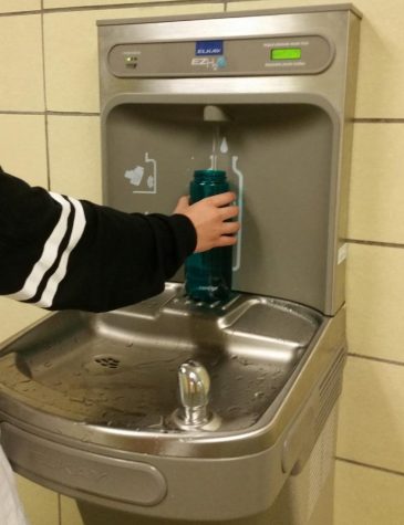 Hydrating cleanly: MHS installs new safe water fountains